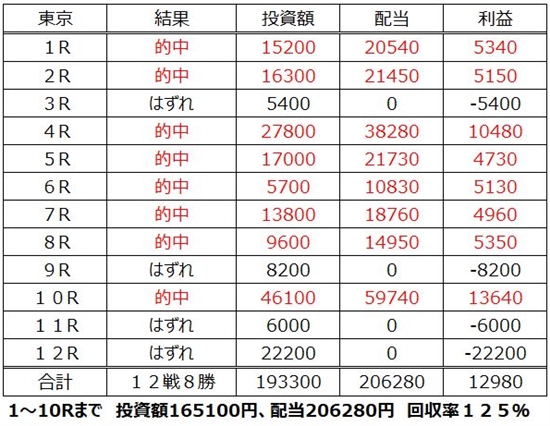 「プロ専用 競馬投資ソフト」JRA 中央競馬版