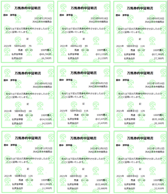 テクニカル6ハイブリッド・ソフト